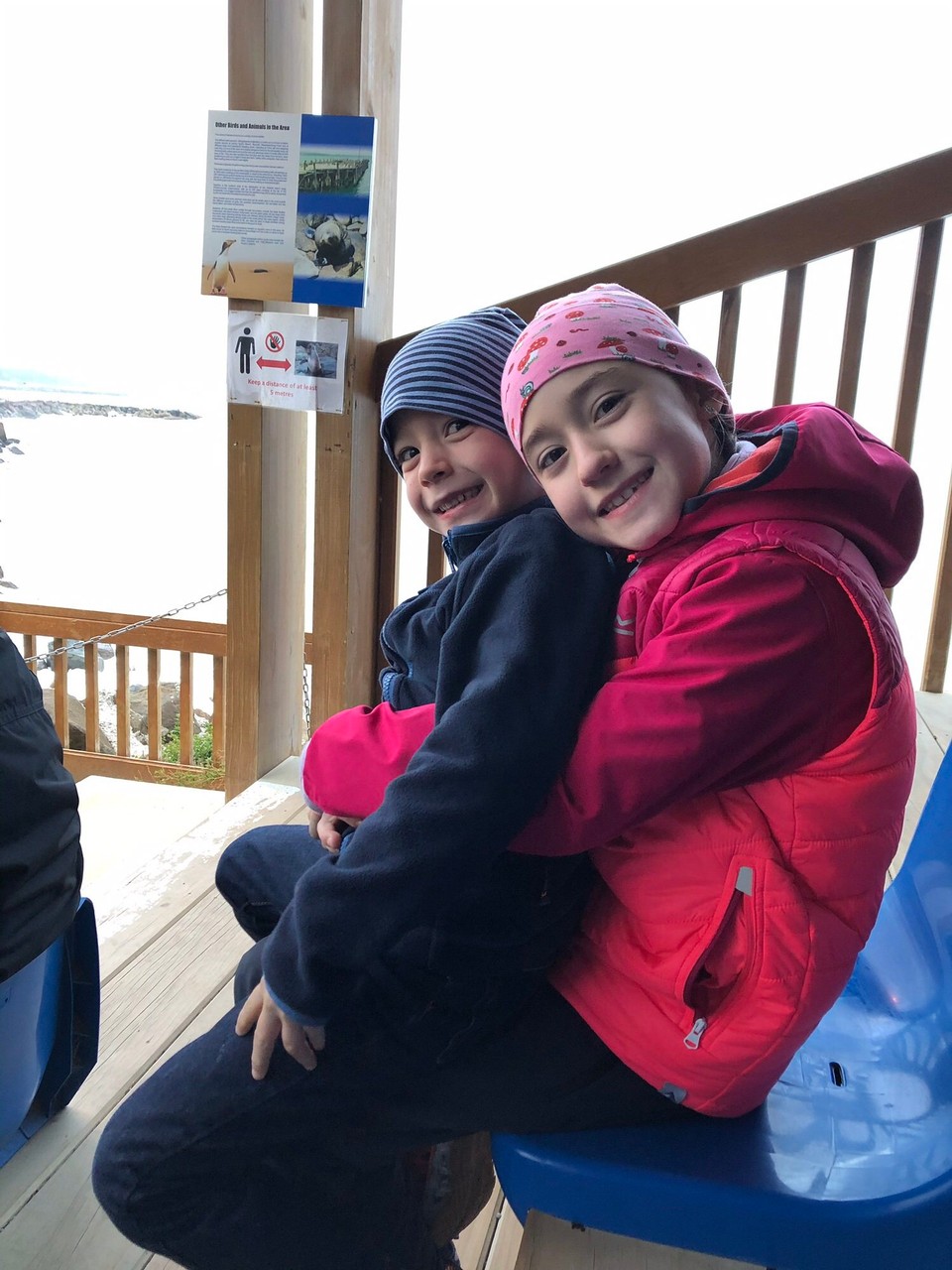 Neuseeland - South Hill - Auf der Kolonie herrscht leider Fotoverbot, daher keine Fotos von den Pinguinen.
Pünktlich um 21 klettern die ersten Pinguine aus dem Wasser und laufen hinauf in die Kolonie.
Die Plätze in der besseren Kategorie lohnen sich, weil da die Pinguine viel näher vorbeilaufen. 
