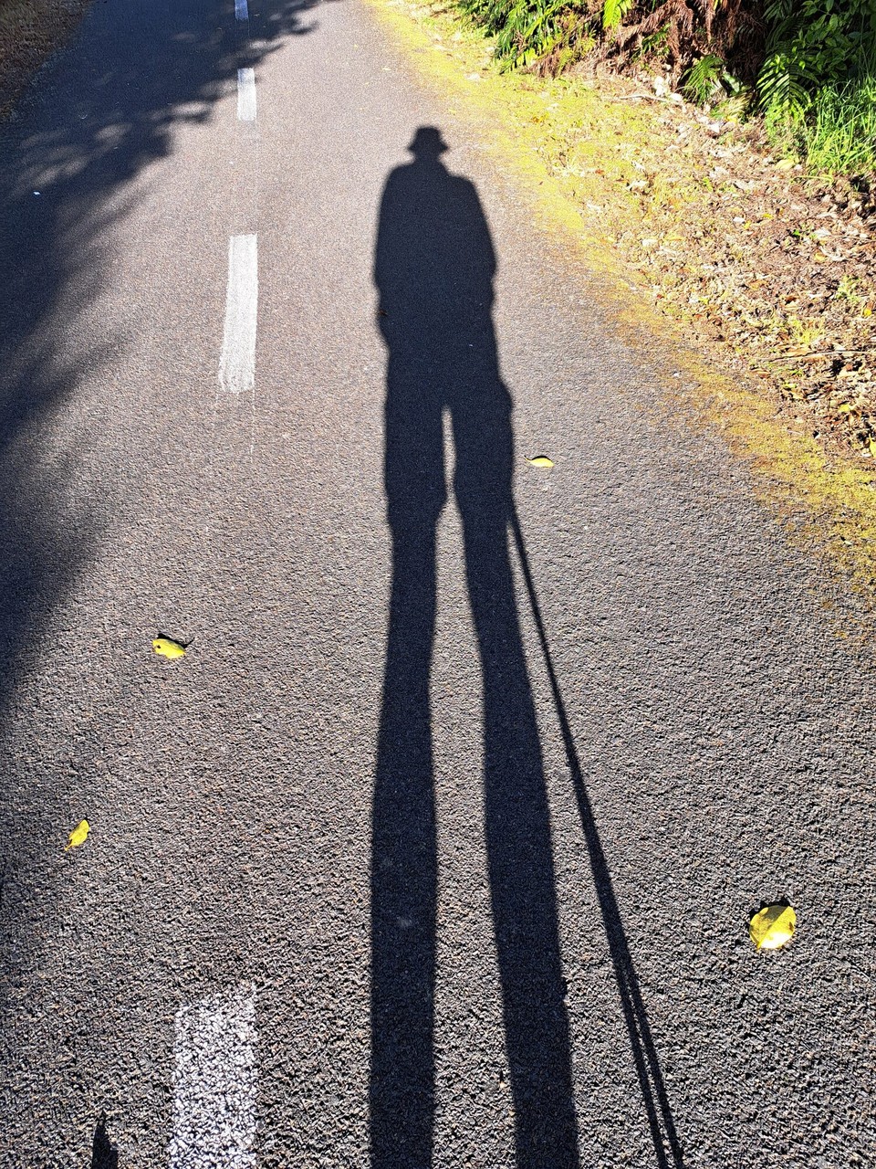 Neuseeland - Porirua - Weiter nach Süden 