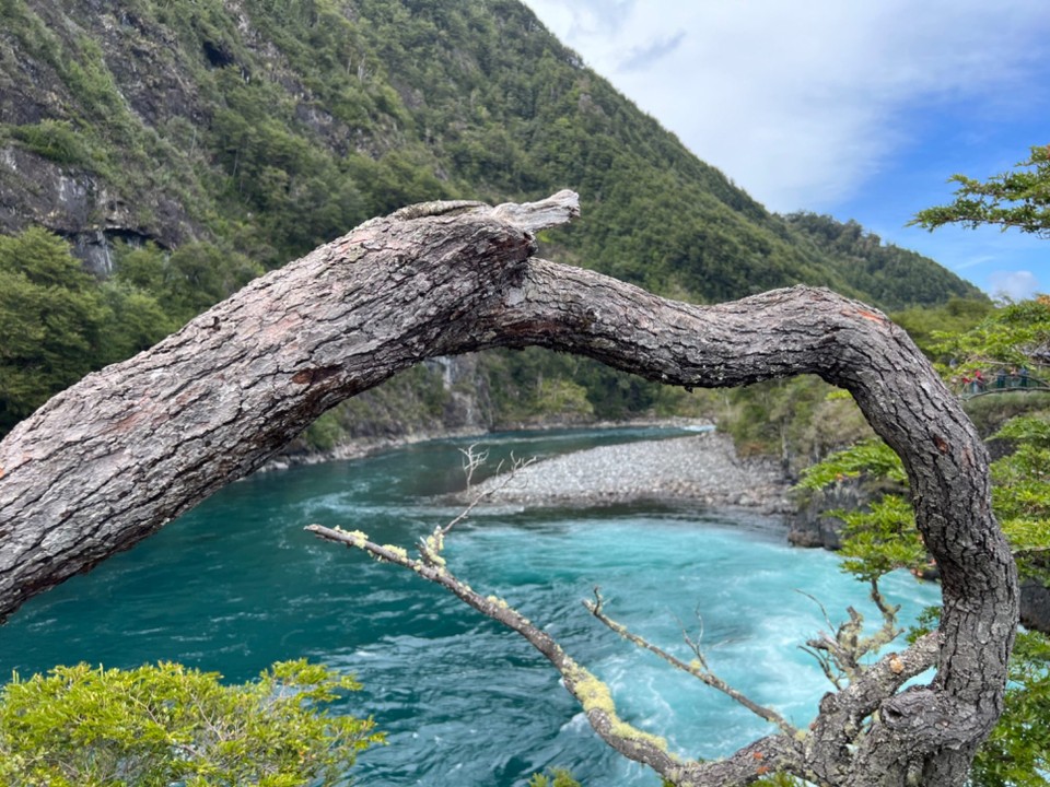 Chile - Puerto Montt - Another arty pic looking downstream