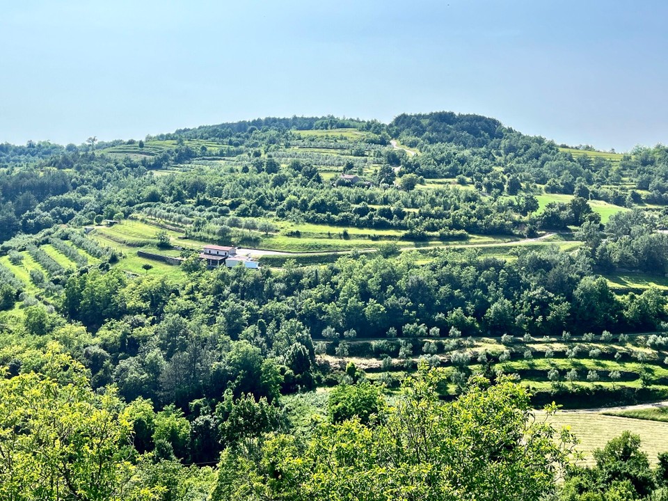 Kroatien - Oprtalj - 