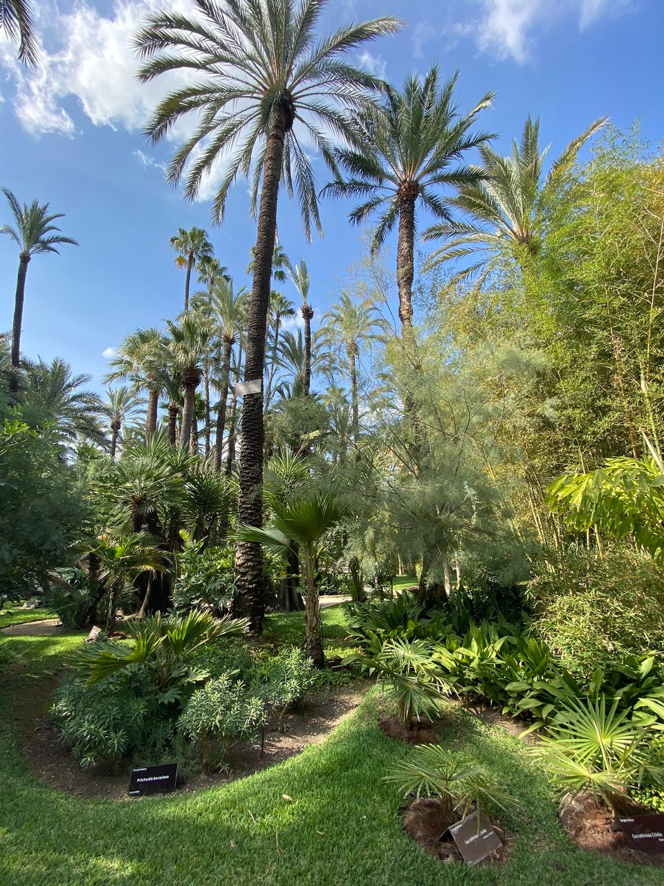 Spanien - Alicante - 