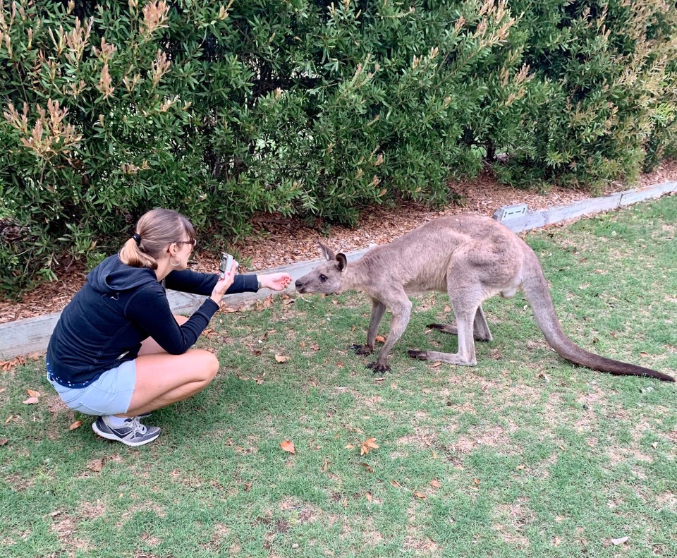 Australien - South Durras - Eventuell was zu mampfen?😉