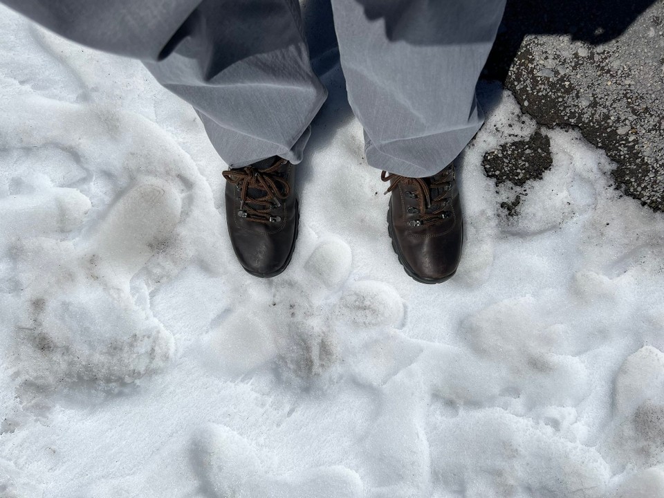 Spanien - La Orotava - Ich stehe im Schnee.