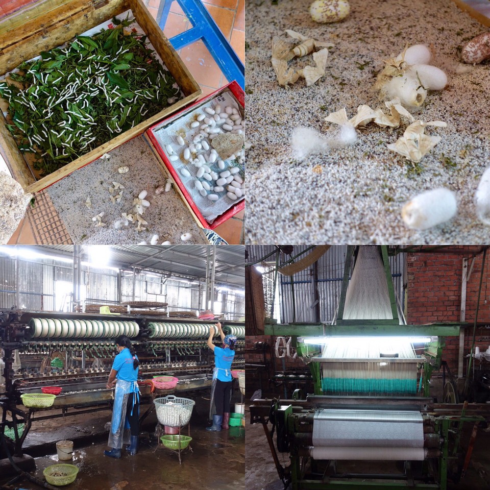 Vietnam - Dalat - Silkeproduksjon
