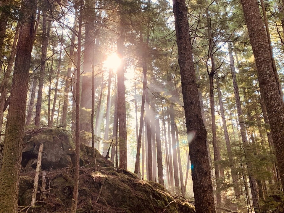 Kanada - Mount Waddington A - 