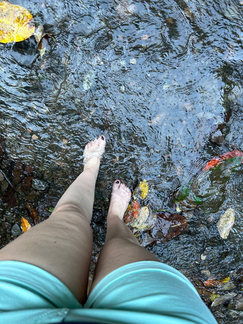 Costa Rica - Nationalpark Corcovado - 