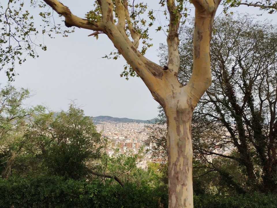 Spanien - Barcelona - 