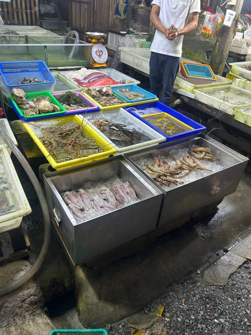 Thailand - Phuket - 