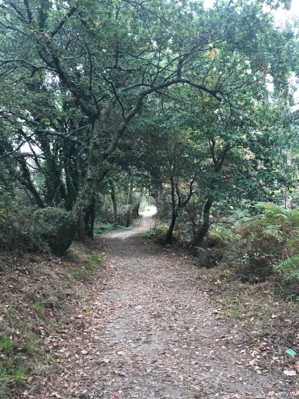Spanien - Santiago de Compostela - 