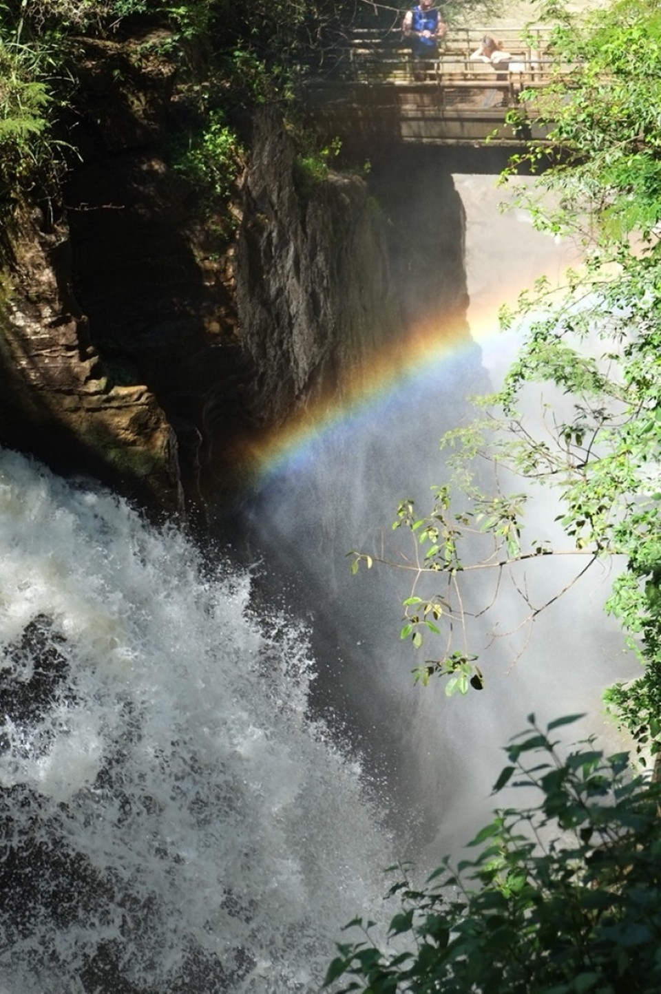 Argentinien - Puerto Iguazú - 