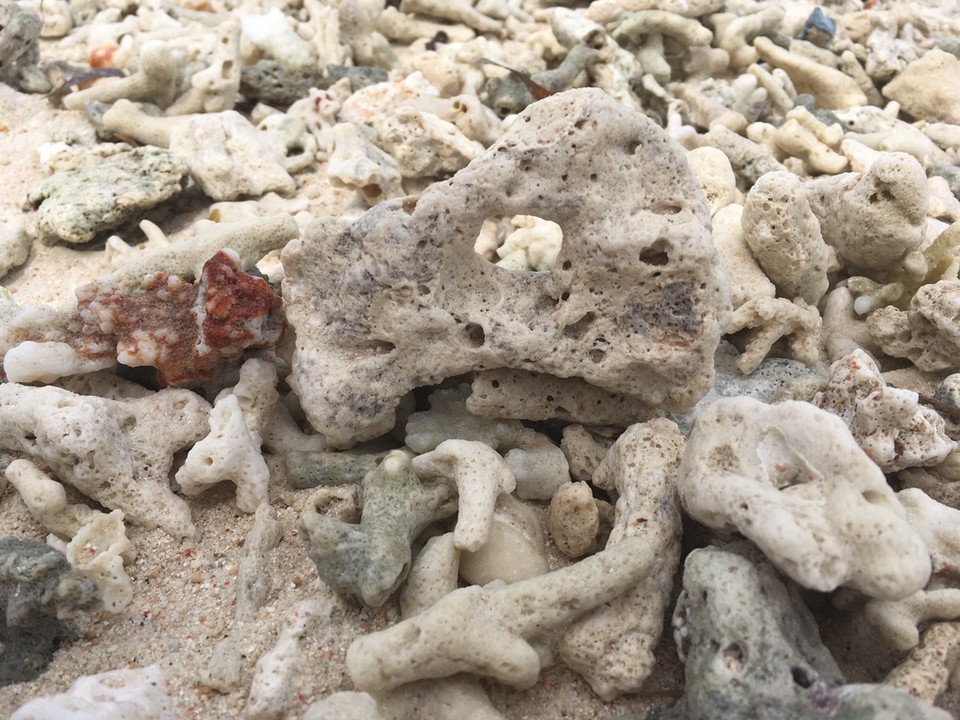 Indonesien - Lombok Utara - Am Strand finden sich ganz schön viele Korallen und Muscheln, die zwar schön anzusehen, aber für den Ein- und Ausstieg ins Meer ganz schön unangenehm sind
