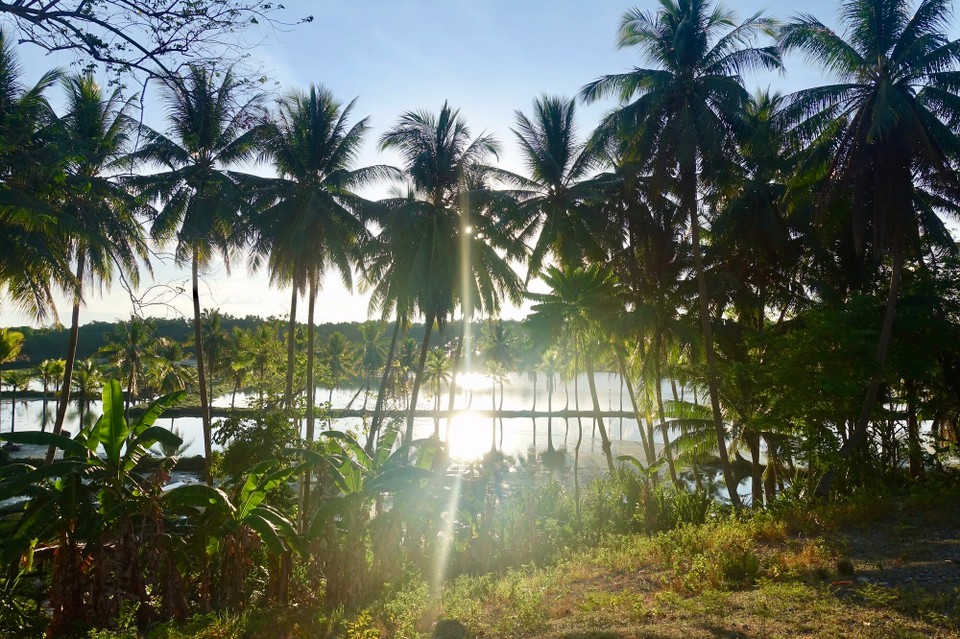 Philippines - Moalboal - 