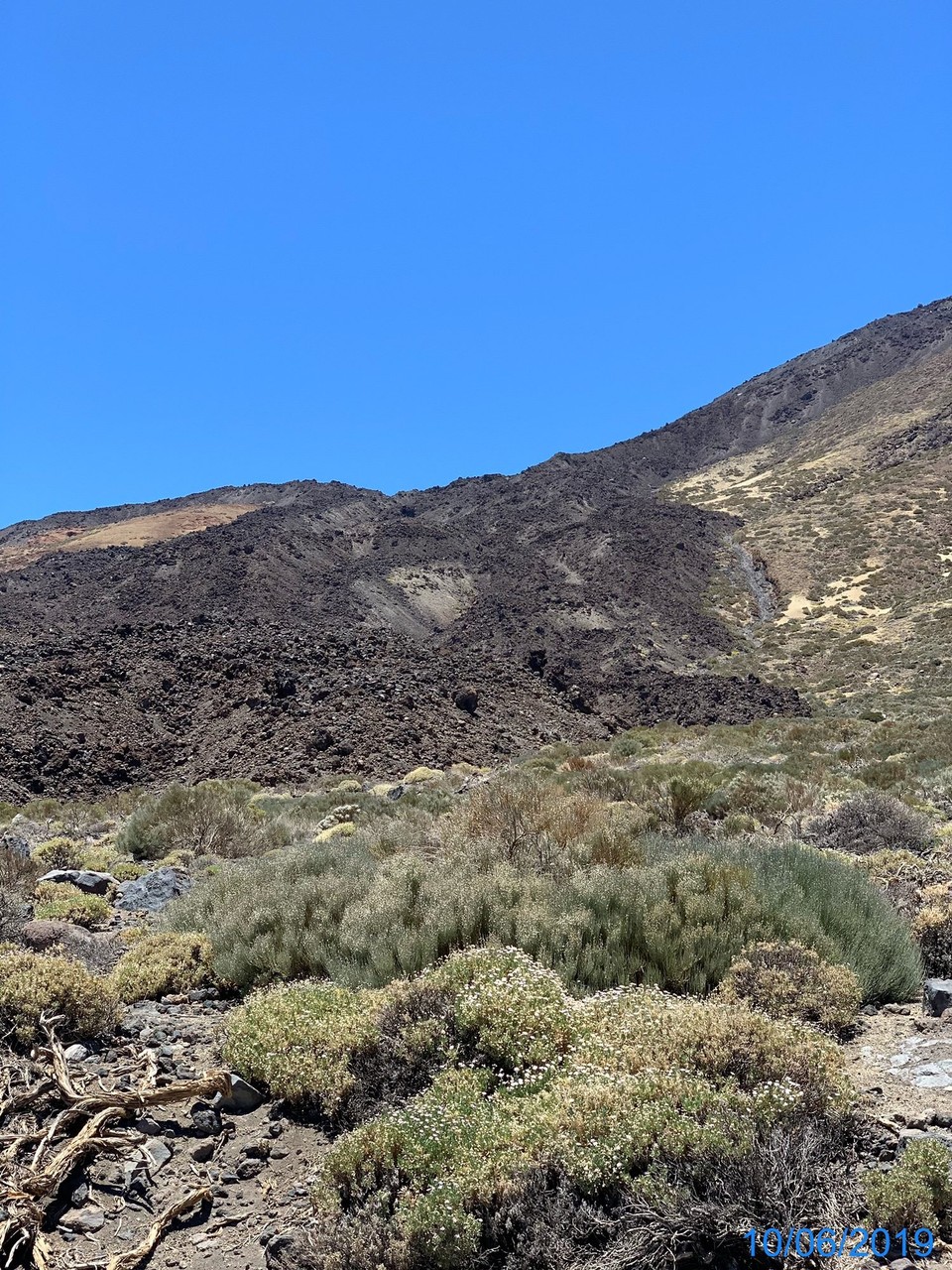 Spanien - La Orotava - Dto.