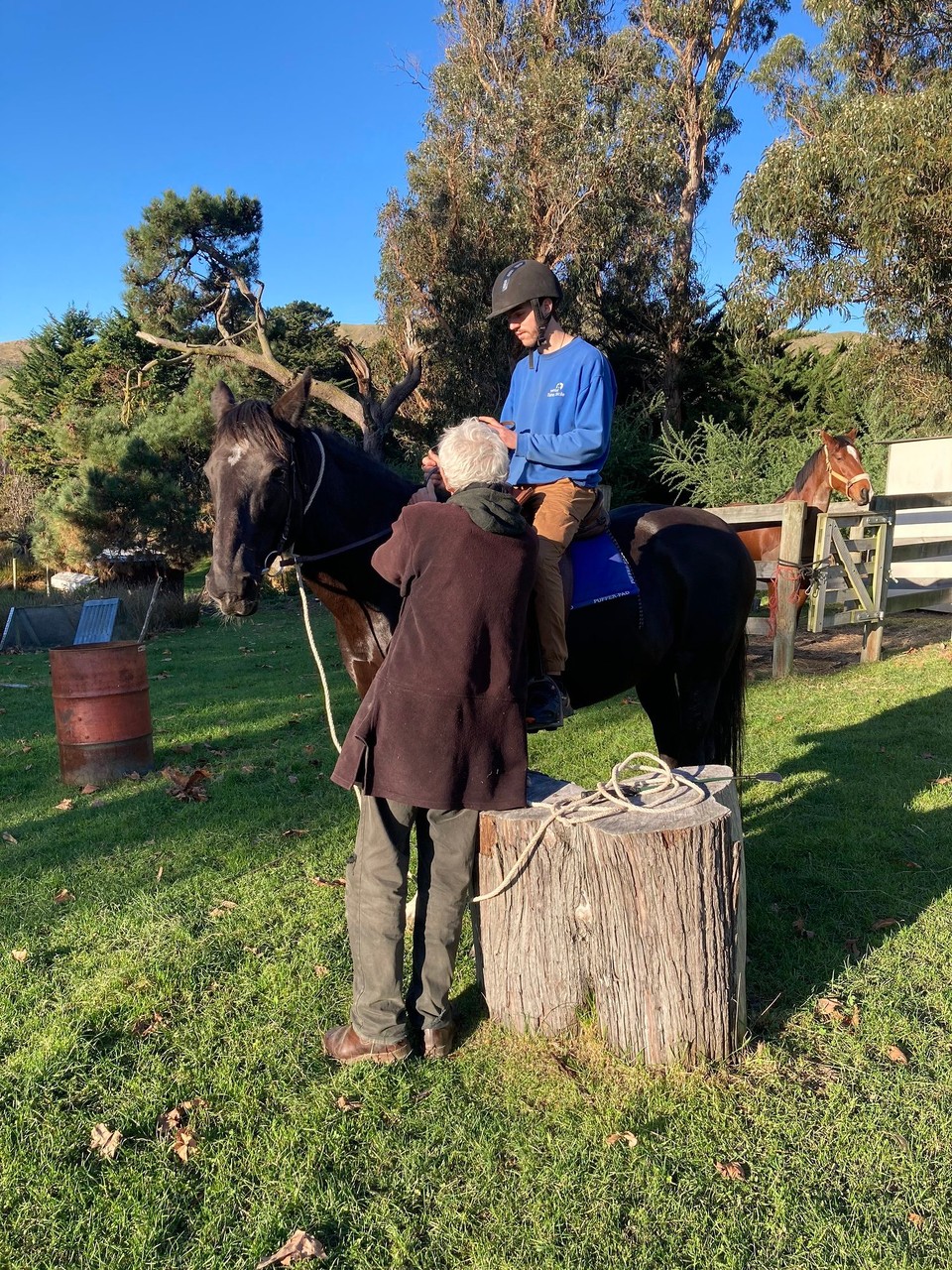Neuseeland - Ward - Aufsteigen bitte! Monty beginnt die Gartentour