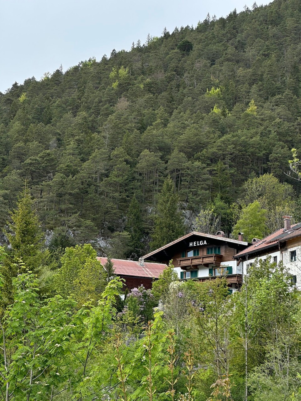 Österreich - Scharnitz - 