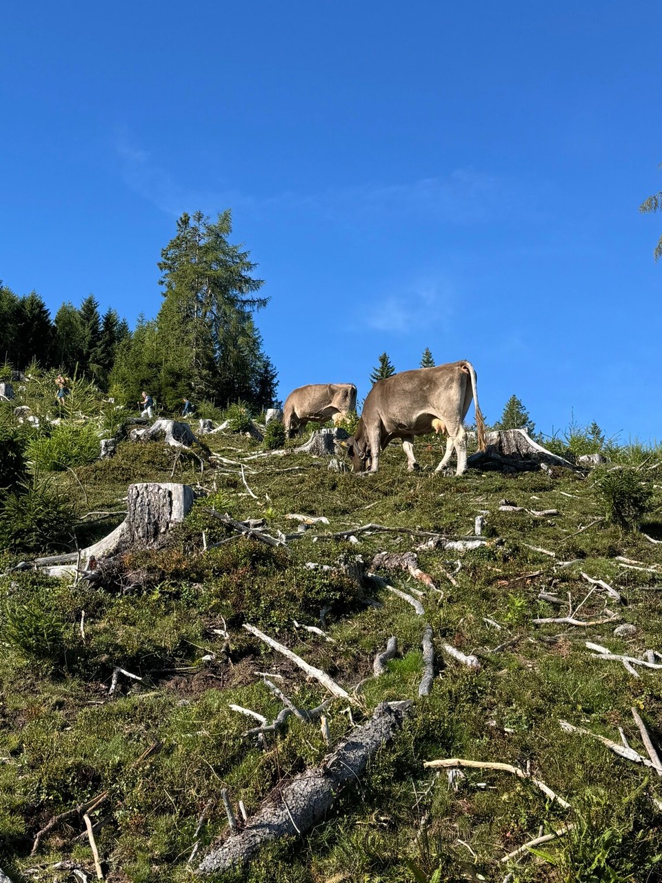 Österreich - Mieders - 