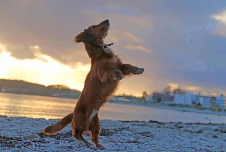 Deutschland - Grömitz - 