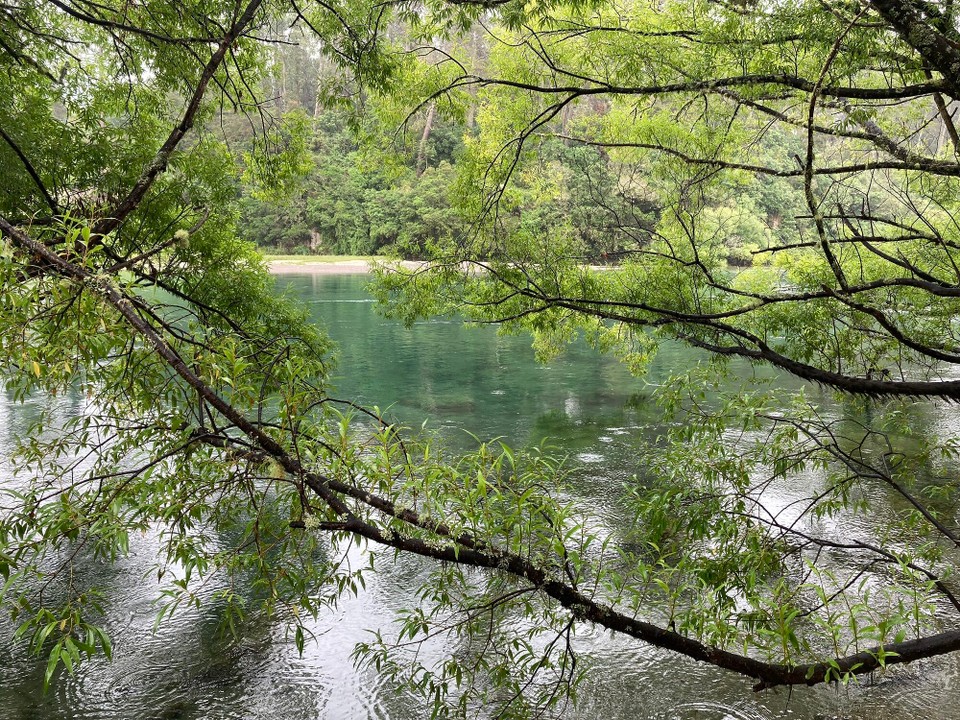 Neuseeland - Taupo - 