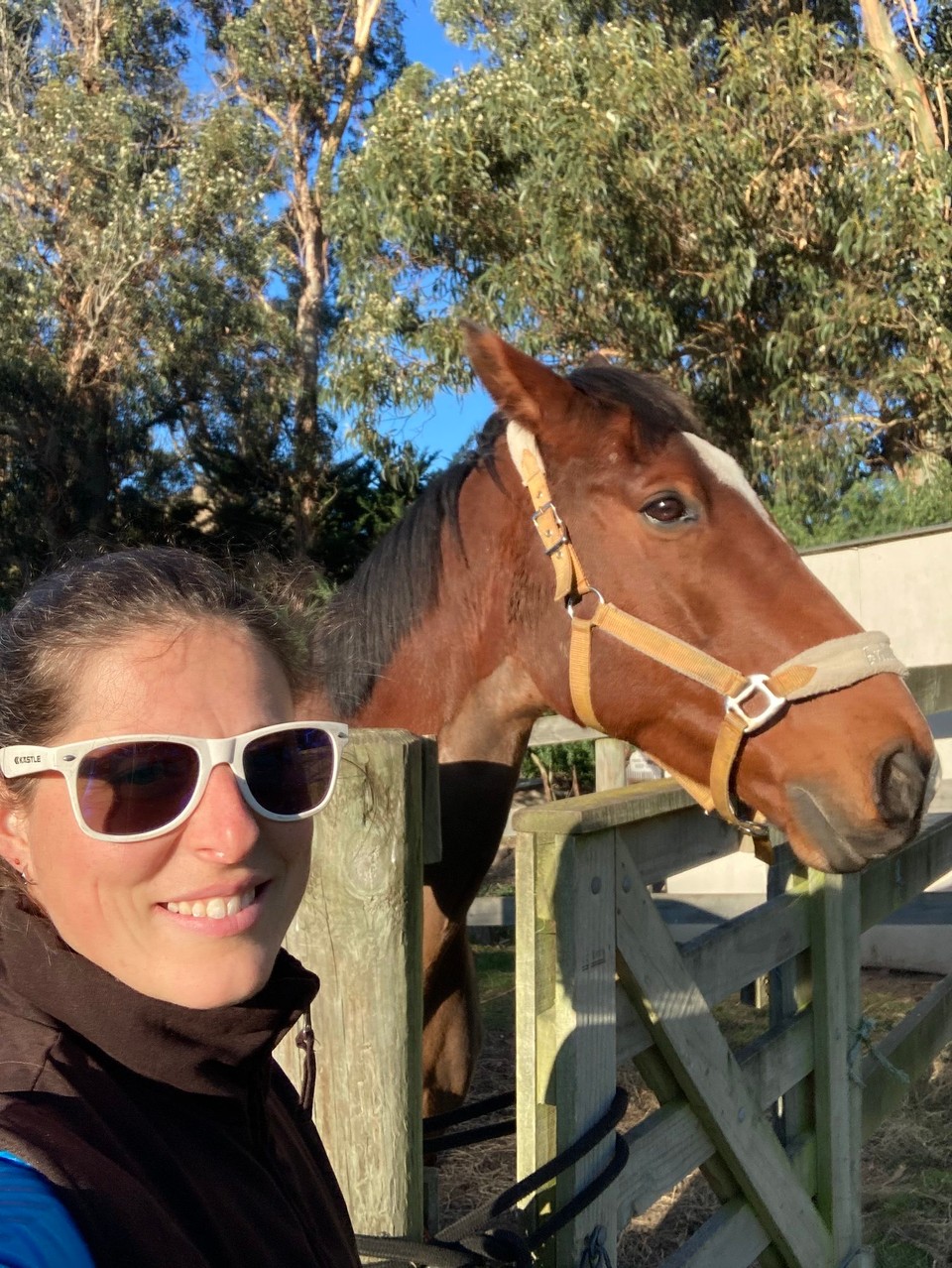 Neuseeland - Ward - Nachmittagsausflug zum Nachbarn - Dave und Sue haben uns zum reiten eingeladen, das nutzen wir doch bei dem schönen Wetter gleich mal aus 😃