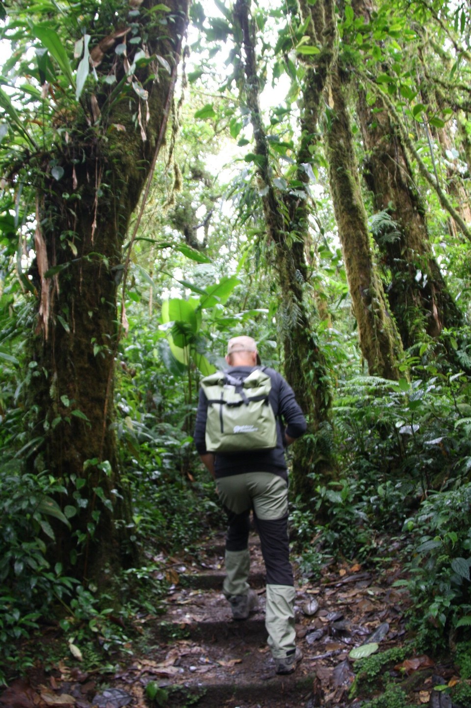 Costa Rica -  - 