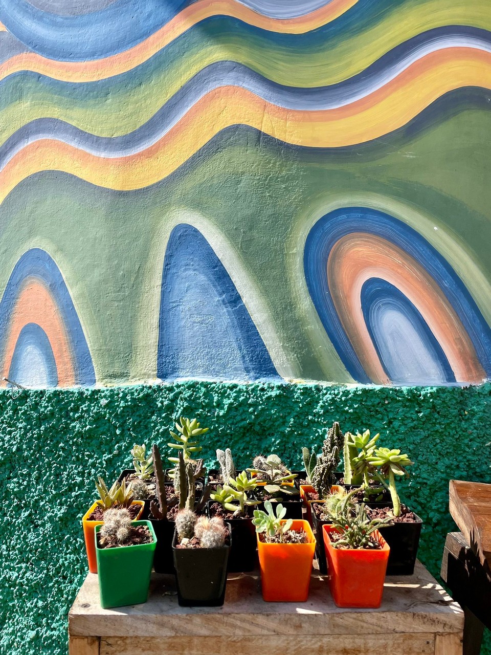 El Salvador - Concepción de Atacó - 🌵 