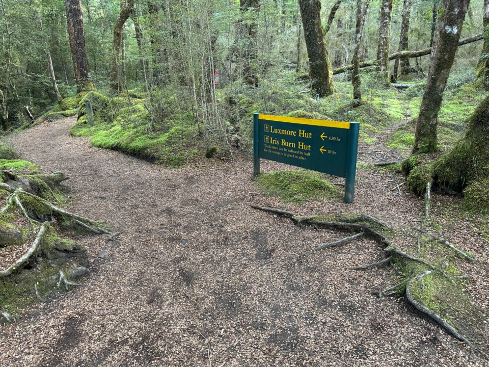 Neuseeland - Te Anau - also zügig die 12km und 1200hm auf dem gleichen super schönen Pfad wieder zurück zum See,