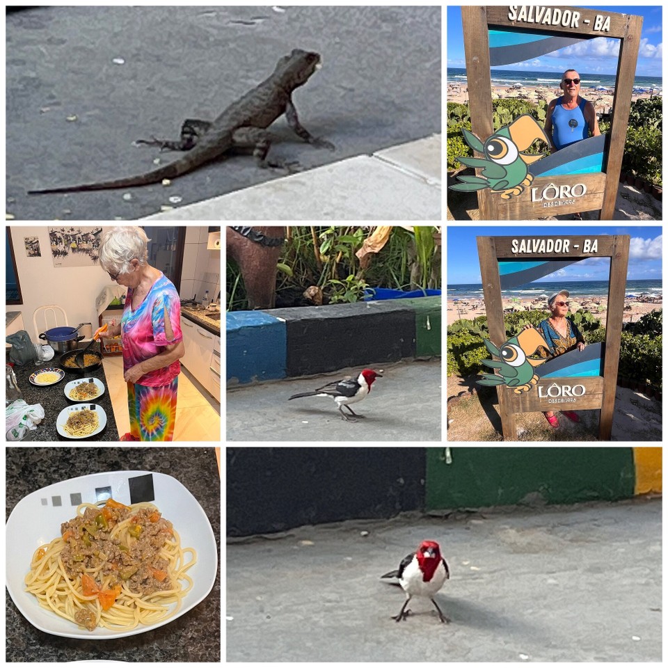 Brasilien - Salvador - Garten Vögel bei Jürgen