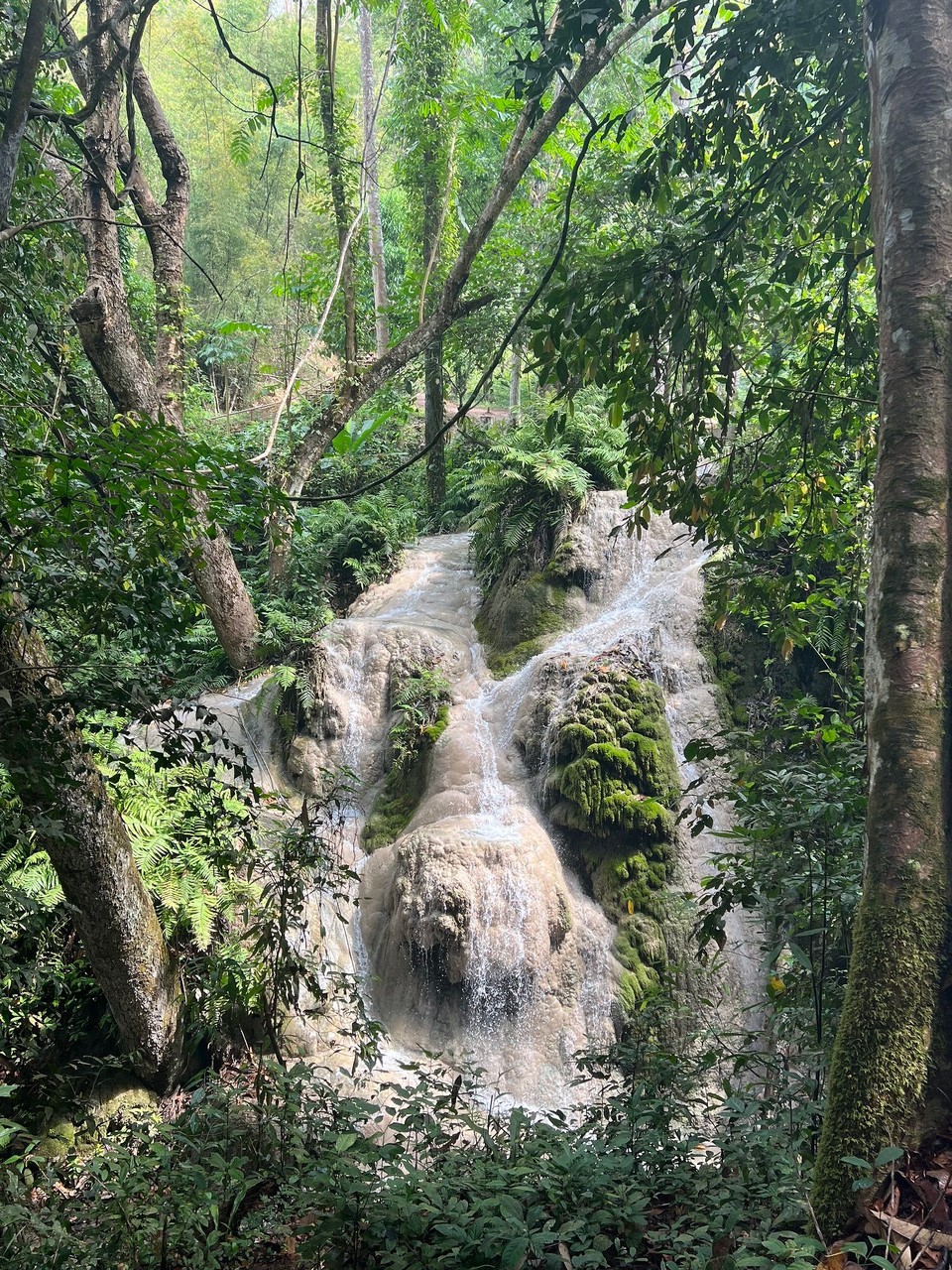 Thailand - Chiang Mai - Ein Teil des Sticky Waterfalls 🐠
