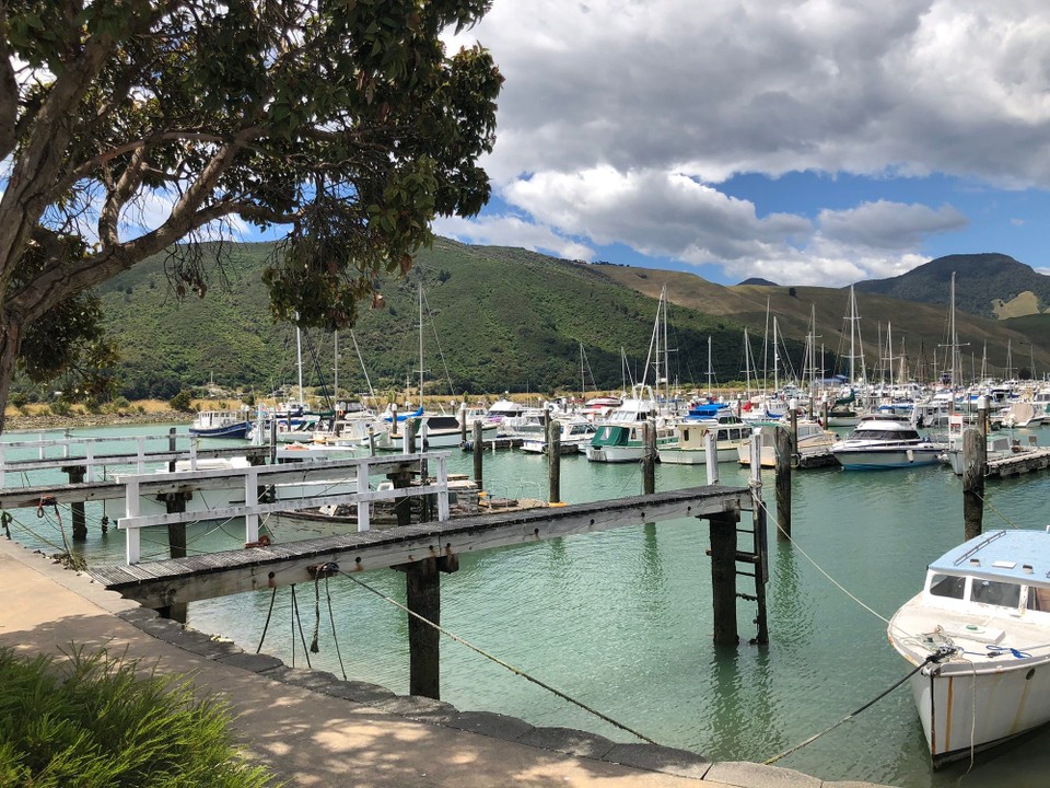 Neuseeland - Picton - Marina von Havelock