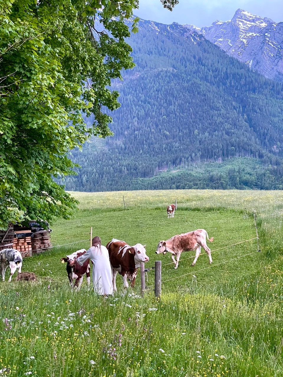 Deutschland - Ramsau bei Berchtesgaden - 