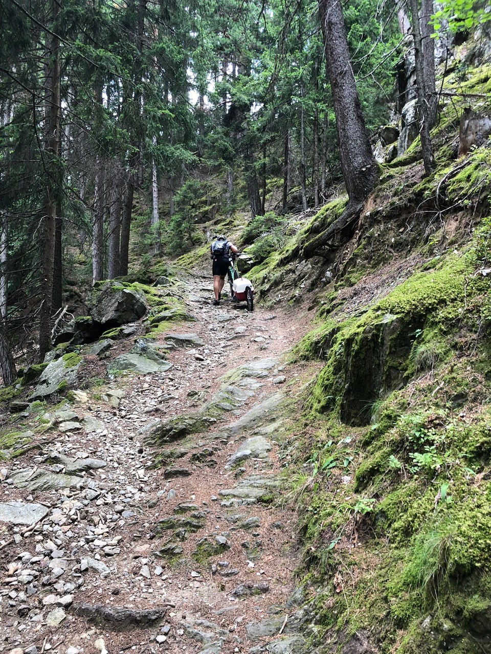 Italien - Schenna - Dieser Weg war steinig und schwer!