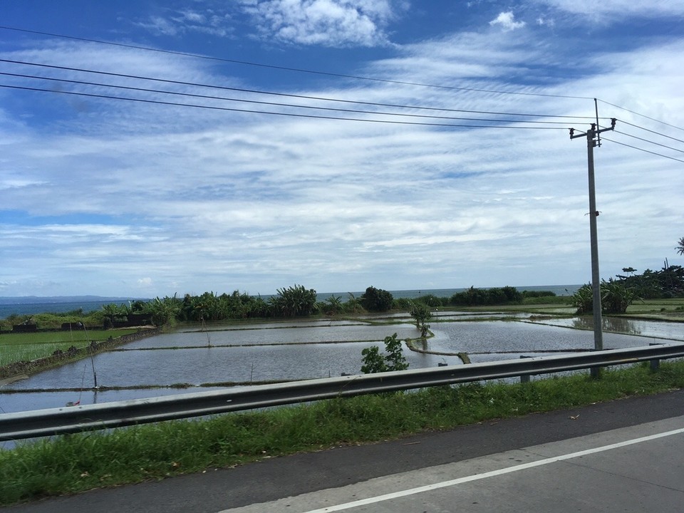 Indonesien - Gianyar - Reisfelder