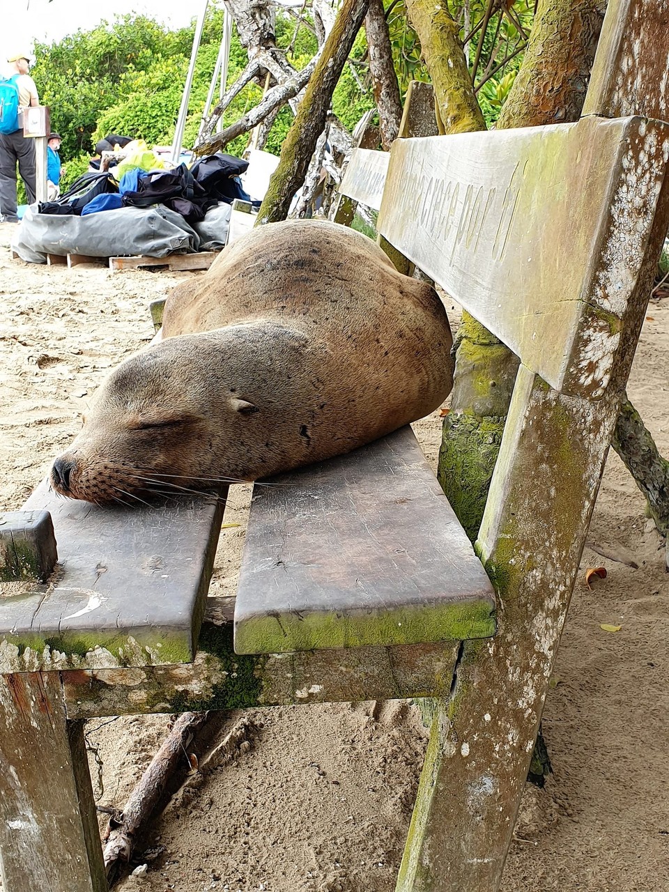 Ecuador - Isabela Island - Welcome to Isabela Island