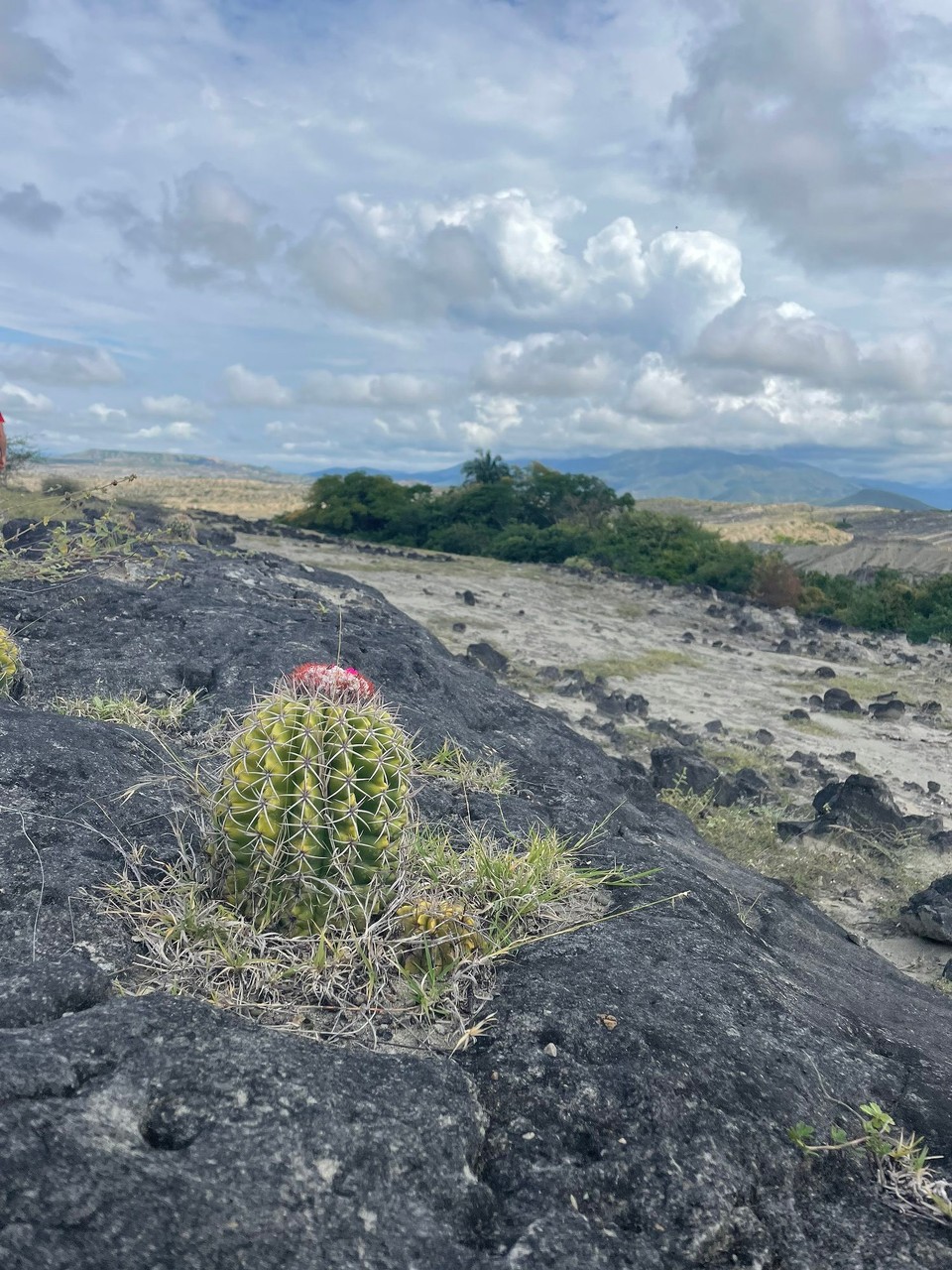 Kolumbien - Villavieja - Tagesausflug in die Tatacoa-Wüste 🌵 