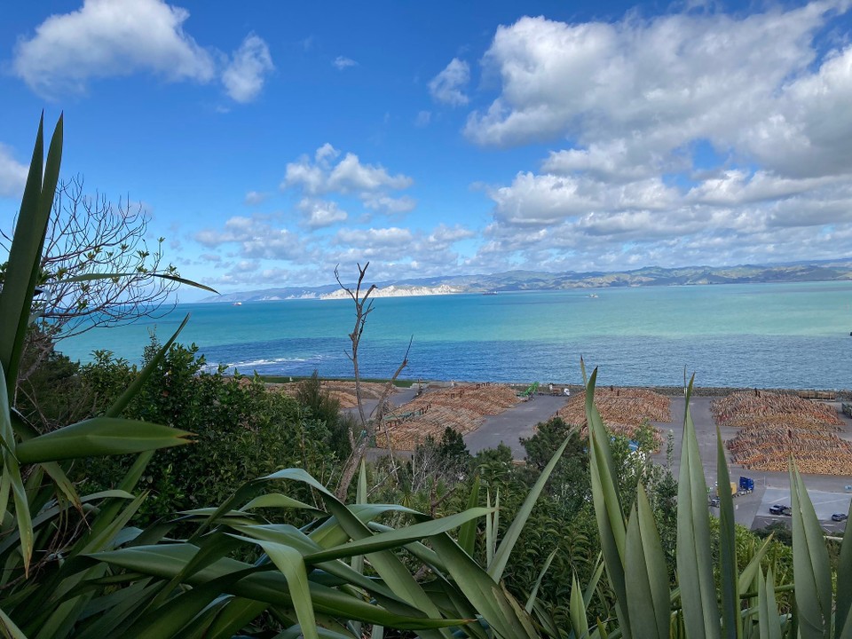 Neuseeland - Gisborne - 