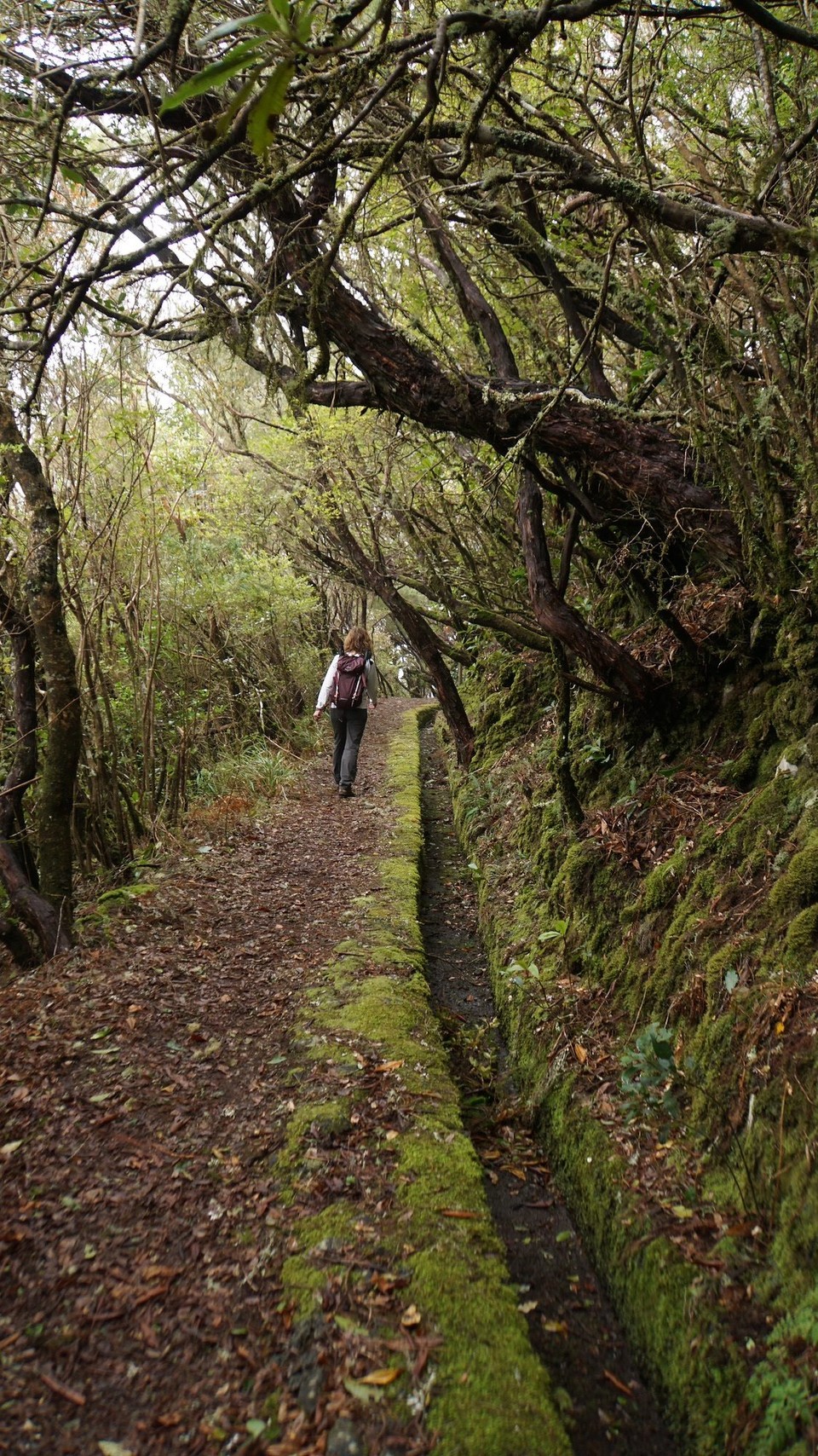 Portugal - Ribeira Brava - Entlang der alten Levada 