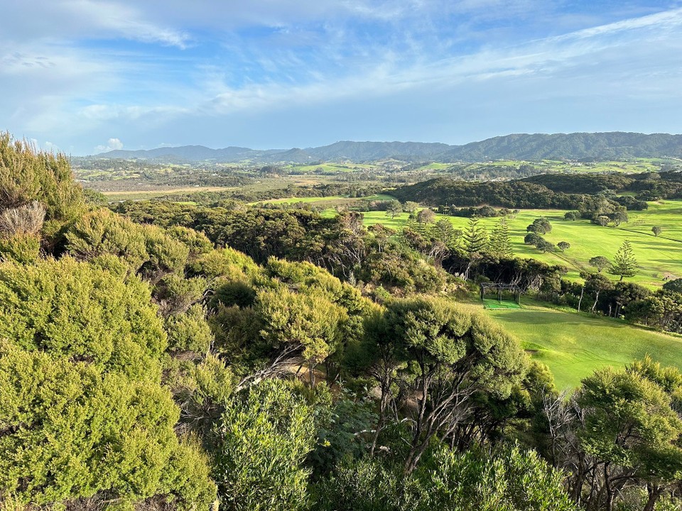 Neuseeland - Mangawhai - … grün… grün … grün ….