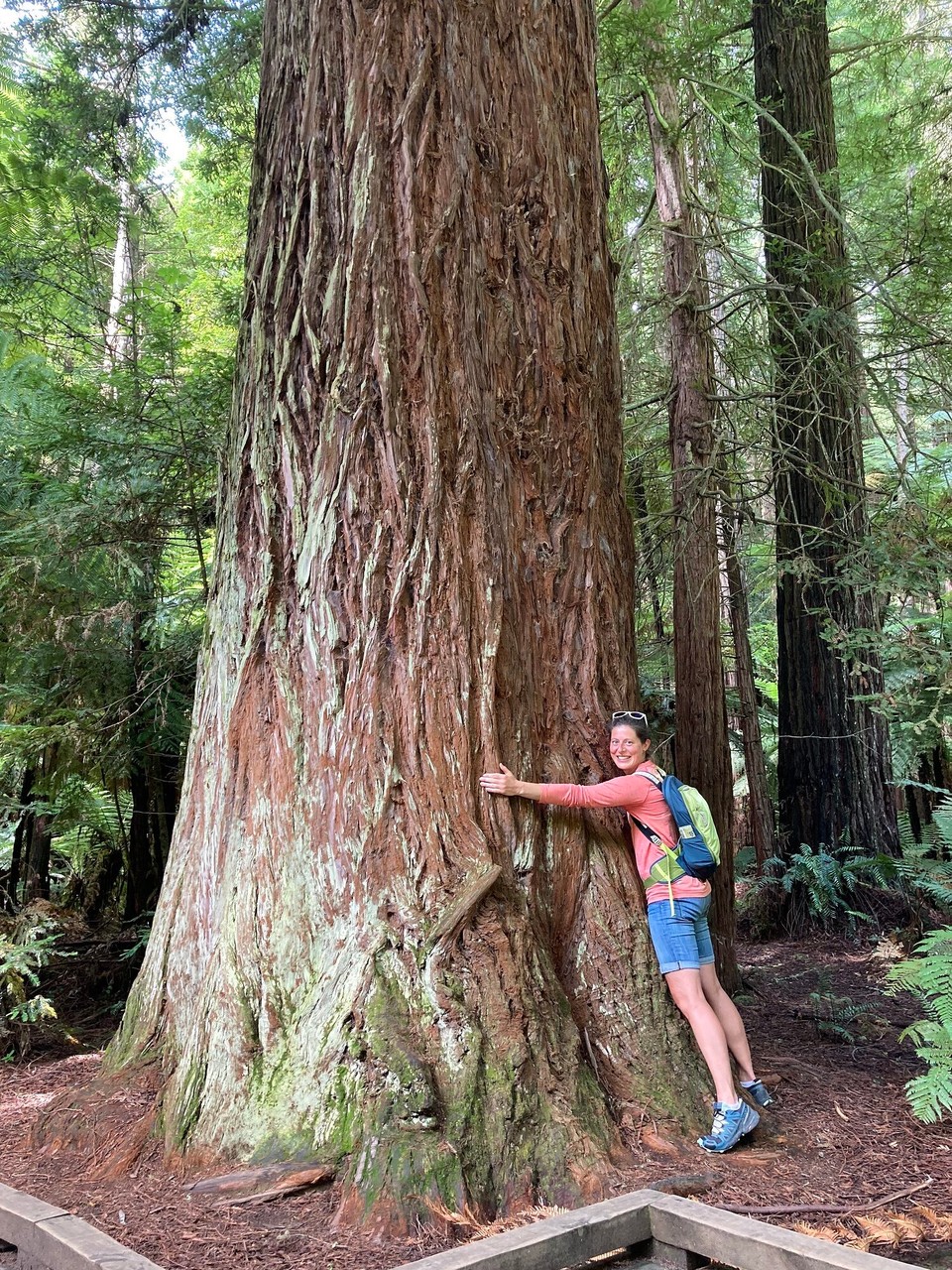 Neuseeland - Rotorua - 