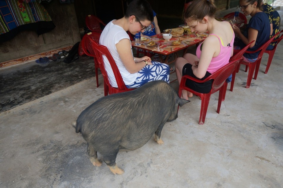 Vietnam -  - 