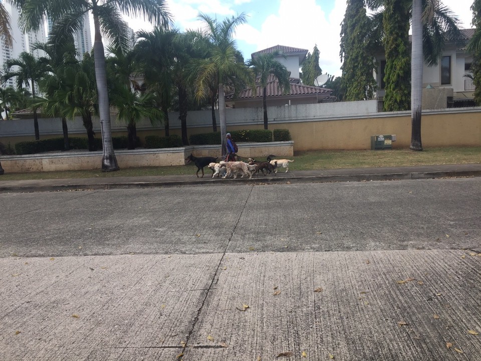  - Panamà, Panamà - 