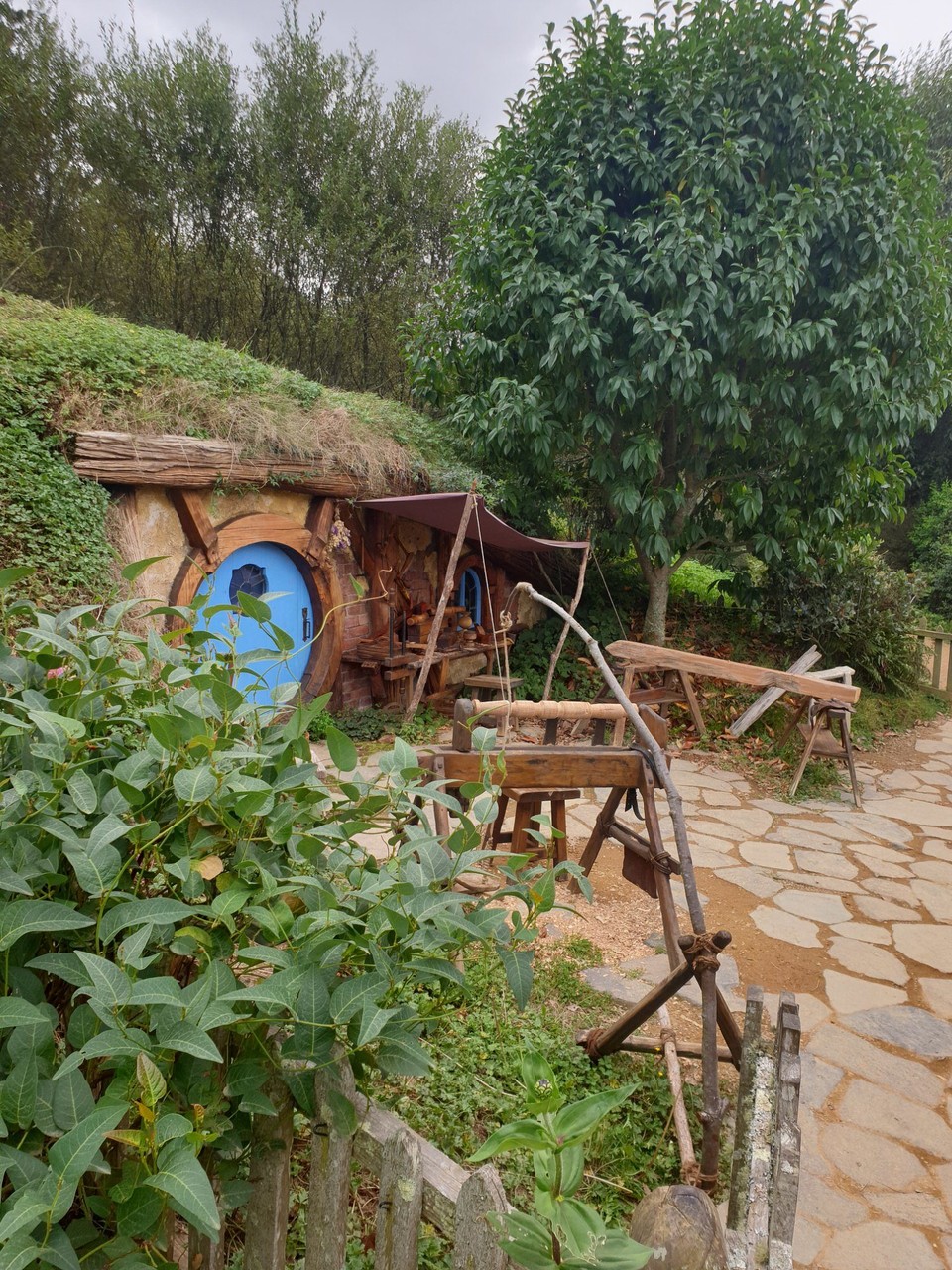 Neuseeland - Matamata - 