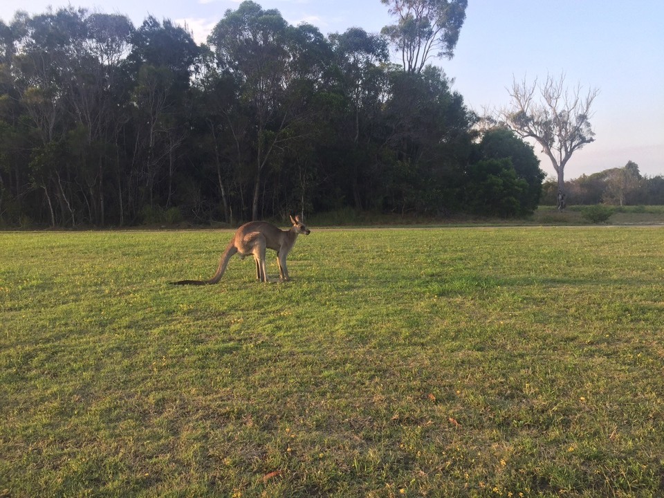  - Australia, Hervey Bay Airport - 