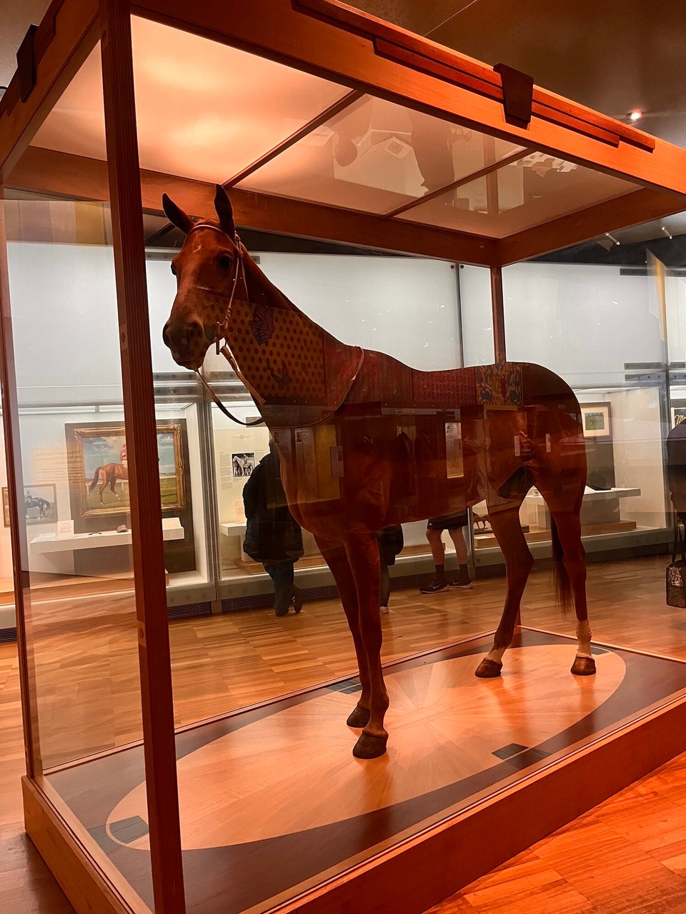 Australia - Melbourne - Went to Melbourne museum and had a walk around. This is Phar Lat, a racing horse who is a big name in Melbourne. He won all of the races he ever raced in and came over from NZ. Sadly he died when he was 4 from a heart attack but he lives on in Melbourne museum. 