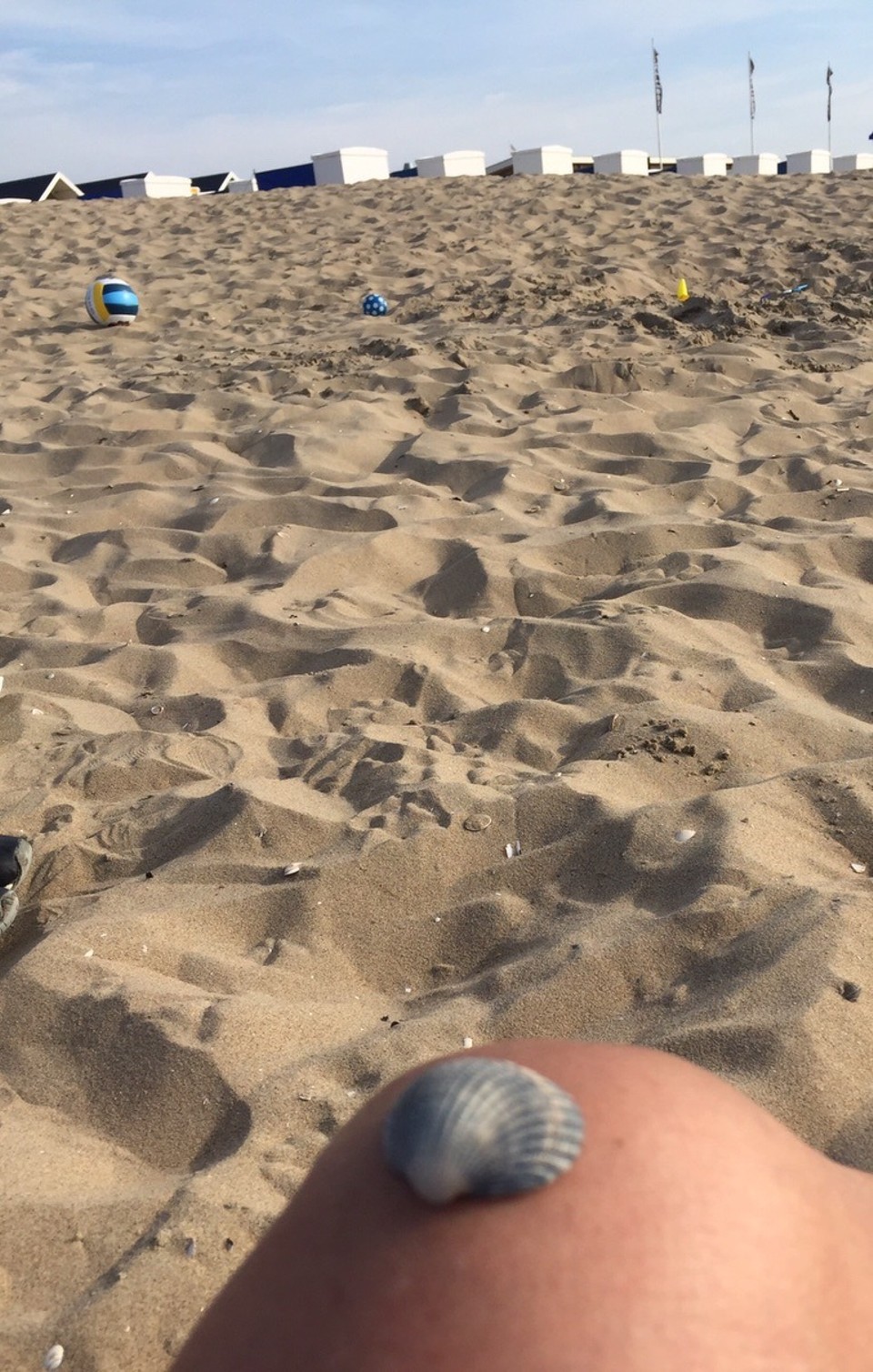 Niederlande - Katwijk - ...seltene Muschel hier....