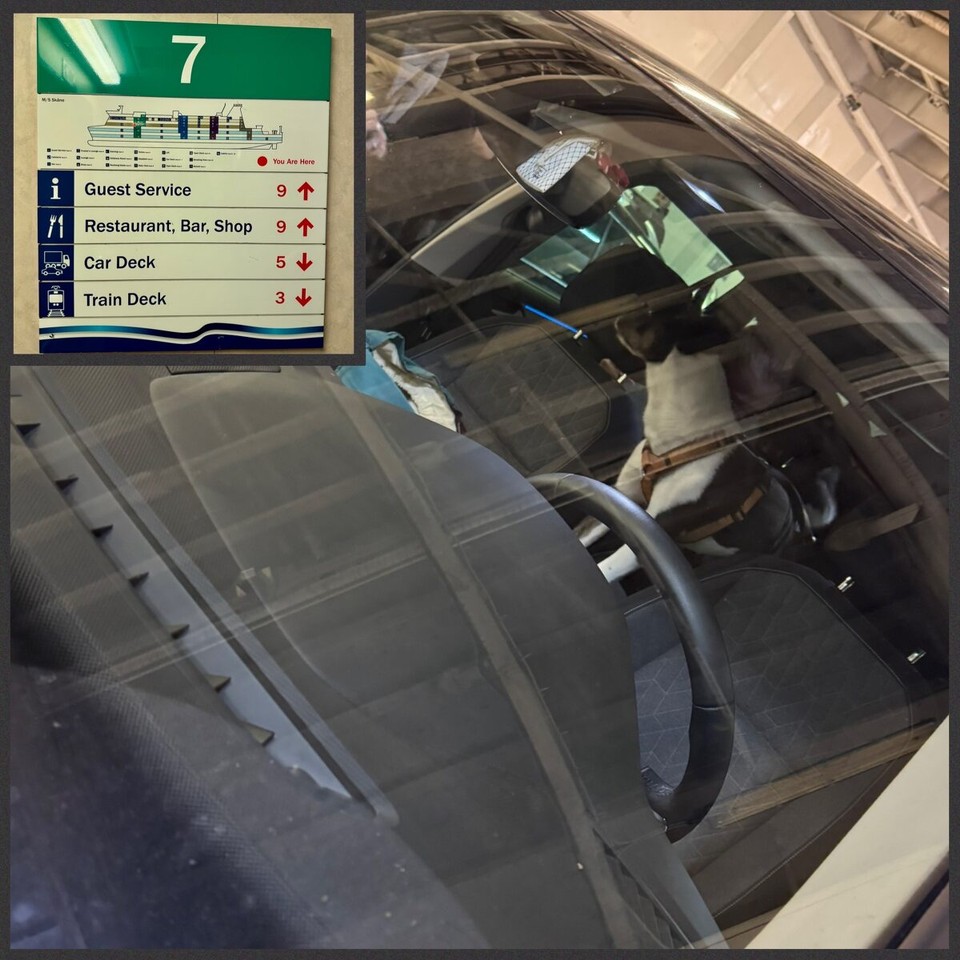 Deutschland - Rostock - Abgepackt! 