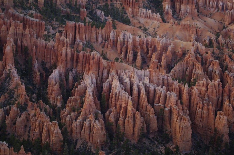 USA - Bryce-Canyon-Nationalpark - 