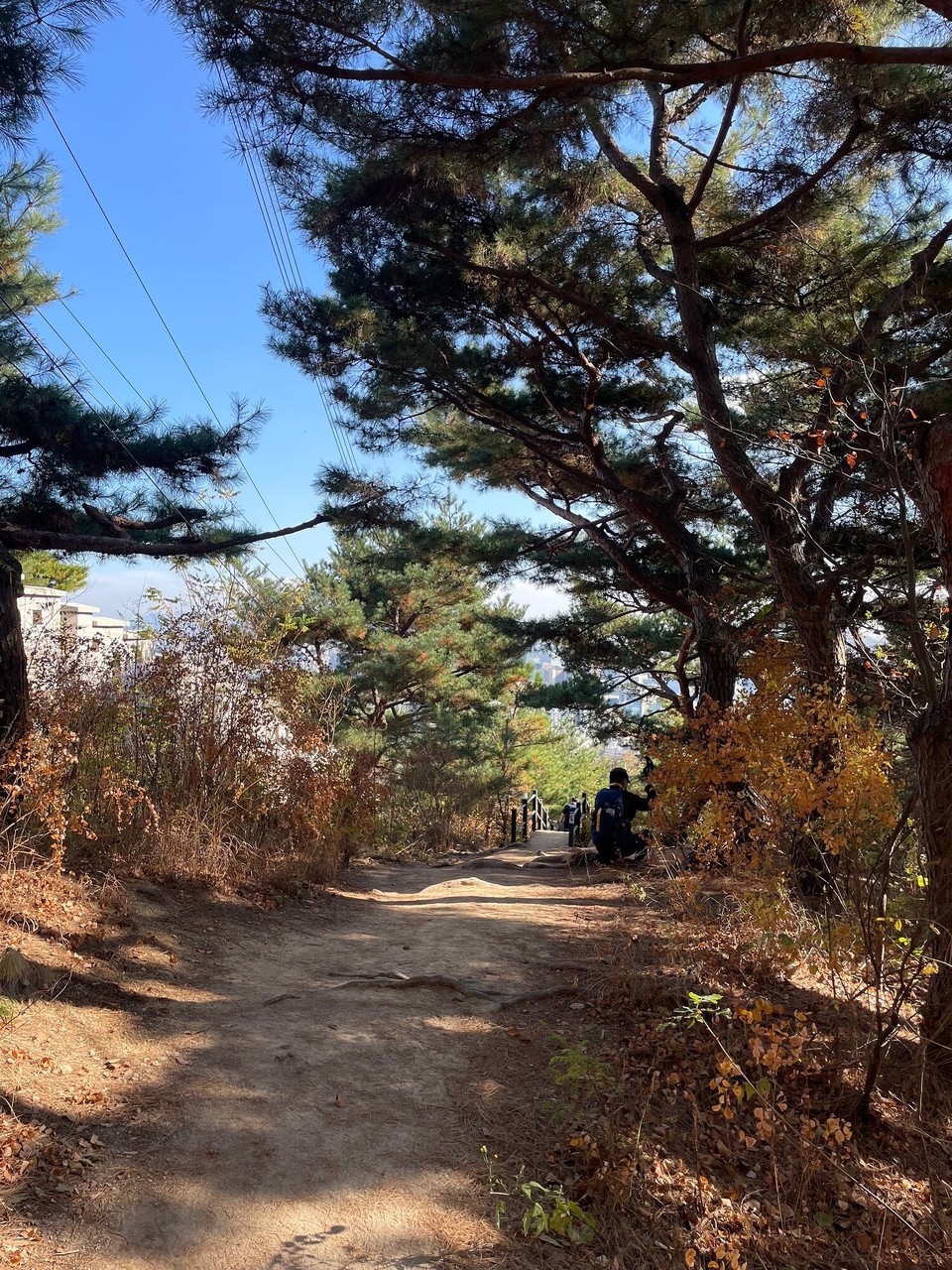 대한민국 - 서울특별시 - 