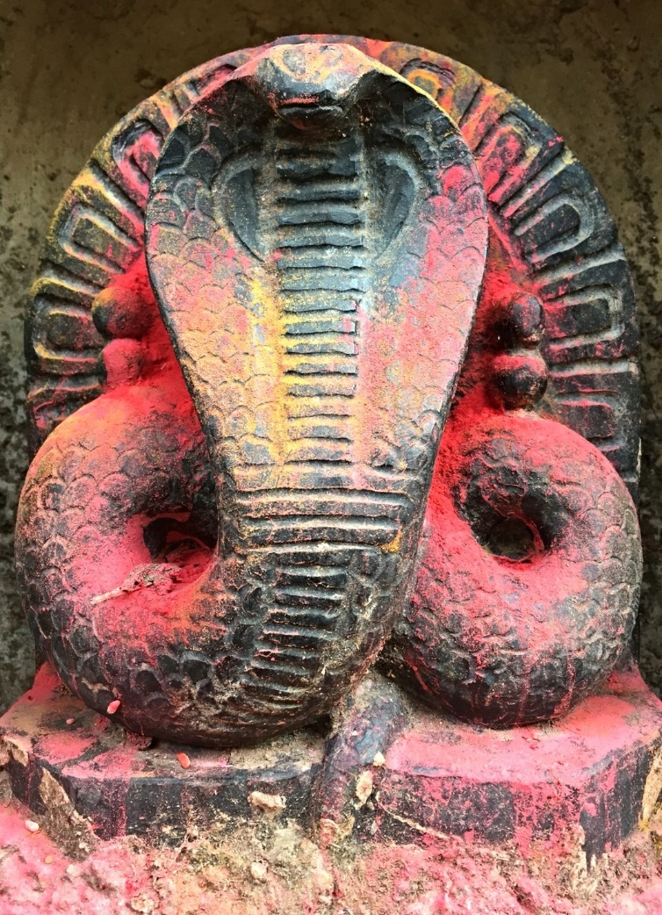 Indien - Gokarna - Schöne Schlange. 