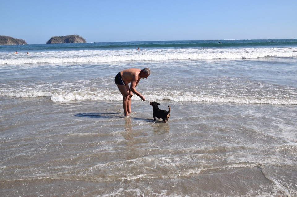 Costa Rica - Nicoya - Und die heimischen Hunde hab ich auch abgerichtet.