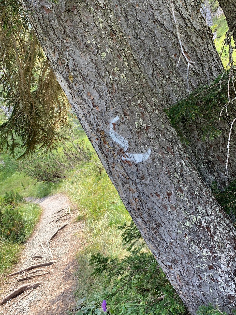 Österreich - Dalaas - 